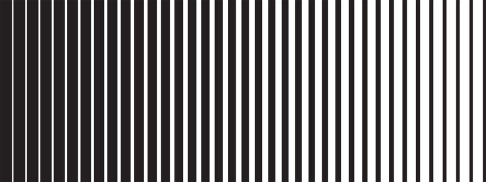 Vertical black parallel straight lines of different thickness isolated on white background. Simple striped graphic print. Shutters texture with fading effect. Vector minimalist illustration
