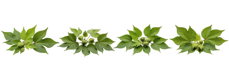 Set of Fresh Green Leaves Botanical Bundle isolated on transparent png background, oil paint