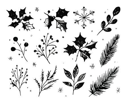 Handgezeichnete schwarze Weihnachts- und Winterpflanzen-Elemente mit transparentem Hintergrund f&uuml;r Dekorationen.