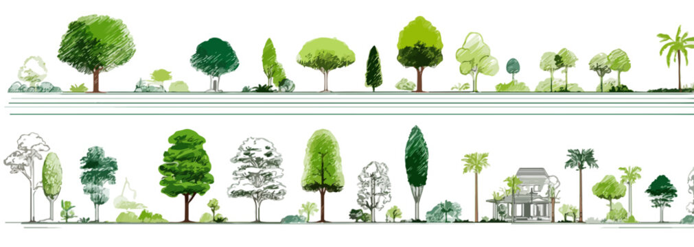 Sammlung verschiedener gr&uuml;ner B&auml;ume und Pflanzenillustrationen mit transparentem Hintergrund f&uuml;r Designprojekte.