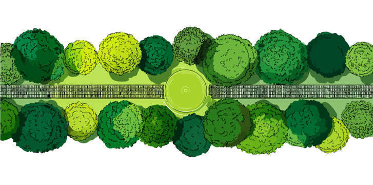 Draufsicht auf gr&uuml;ne, kugelf&ouml;rmige Baumkronen und B&uuml;sche mit transparentem Hintergrund f&uuml;r Design.