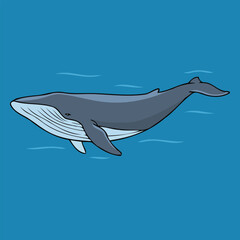 Blue Whale Swimming Underwater in The Blue Ocean - Animal Character Vector Illustration 