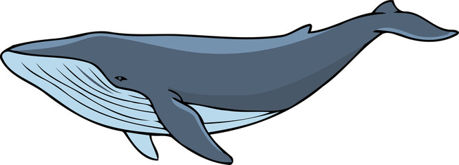 Blue Whale Swimming - Animal Character Illustration Isolated on Transparent Background