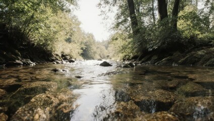 Obraz premium Serene River Flowing Through Lush Green Forest on a Bright Sunny Day.