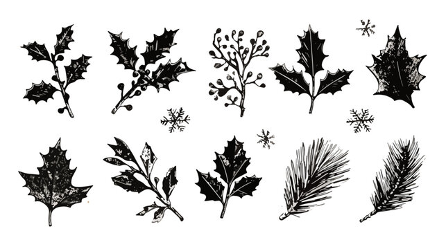 Conjunto de ilustra&ccedil;&otilde;es vetoriais em preto e branco de azevinho, pinheiro e flocos de neve para decora&ccedil;&otilde;es de Natal.