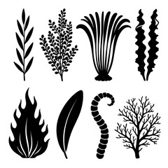 Fototapeta premium Botanical silhouette collection: assorted leaves, grasses, coral and feather shapes in vector form