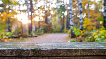 Wooden Deck Overlooking Forest Pathway.