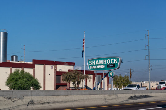 Phoenix, AZ - Nov. 25, 2025: Shamrock Farms, a major dairy farm and milk producer, is one of Shamrock Foods Company's brands. (viewed from I-17)