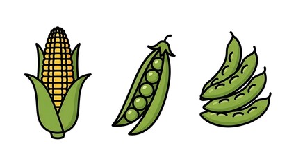 Fresh Corn Peas and Beans Illustration.
