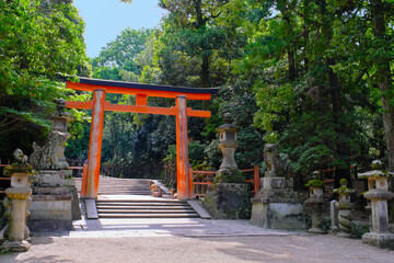 春日大社の二之鳥居と鹿　奈良県