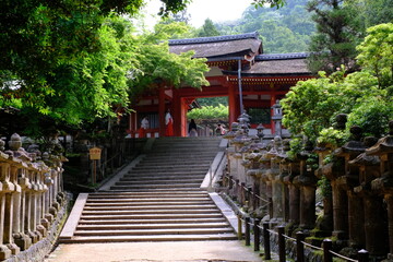 春日大社の慶賀門と石灯篭　奈良県
