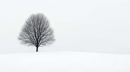 Solitary tree on a snowy landscape