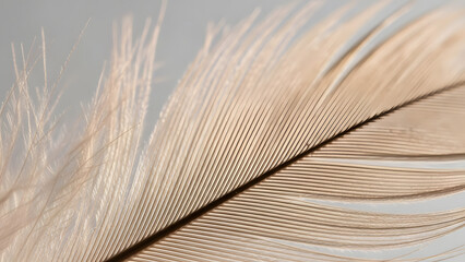 A delicate extreme macro view of a white feather's fibers, emphasizing softness, light, and airy textures against a neutral background.