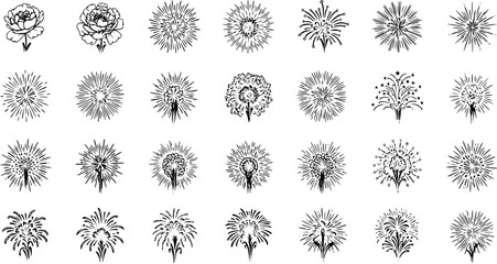 Hand-Drawn Black and White Line Art Set of Celebration Fireworks, Exploding Star Bursts, and Floral Dandelion Illustrations © pixsource