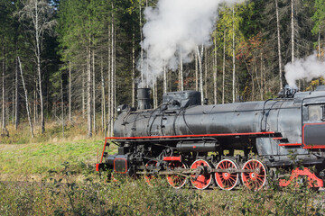 Steam train moves in the forest.