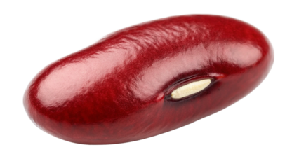 Extreme close up macro shot of a single shiny deep red kidney bean on a pure showcasing texture and detail on transparent background