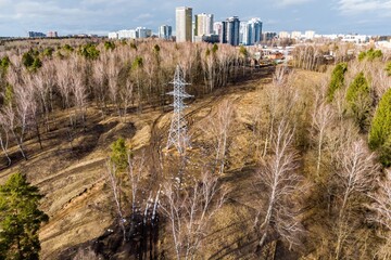 Aerial view of a metal high-voltage power line tower standing in a sparse early spring woodland with bare birch trees and distant modern city skyline