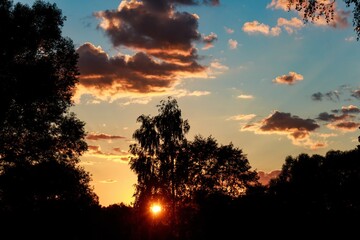 Fototapeta premium Vibrant summer sunset bursting through dark tree silhouettes with golden sun flares and richly colored clouds above