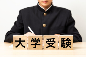 「大学受験」と書かれたブロックと男子学生