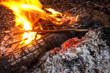 Vibrant orange flames roar above a smoldering log surrounded by white and gray ash in the wilderness setting