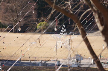 星型のイルミネーション