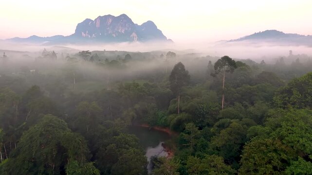 Early morning unveils the mystical beauty of Khao Sok, Thailand, as mist rolls over lush forests and majestic mountains. A serene lake reflects the vibrant landscape, creating a tranquil atmosphere.