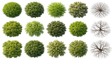 3d illustration of a set of green trees and leaves forming a natural sphere to symbolise growth and organic environment on a green lawn planet globe design with flowers © Graph Rover