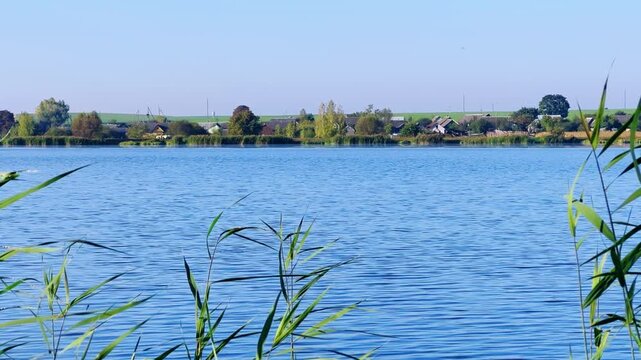 The Indurka River flows through the Grodno region. Belarus. Water against a background of reeds and sedges. View of the River in the morning. River landscape. Dam and dam. 4K
