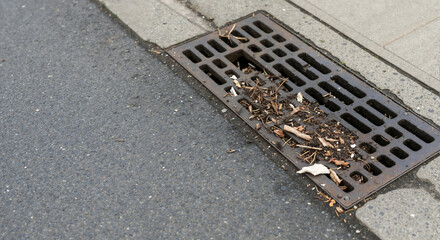 Fototapeta premium Urban storm drain grate clogged with leaves and debris. Metal sewer cover on an asphalt road next to a concrete curb with copy space