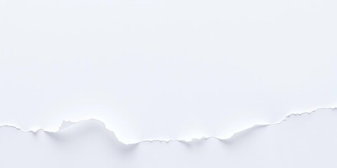 Jagged edges of a white paper scrap, showing fiber texture,  piece,  damaged