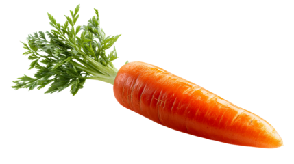 Fresh organic carrot with vibrant green leaves, a healthy vegetable perfect for culinary use and nutritious eating for food industry and lifestyle content creation