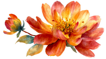 Vibrant watercolor painting of blooming orange and red dahlia flowers with lush green leaves and a budding flower, perfect for floral design and nature themes.