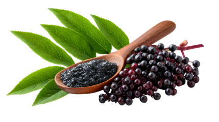 Wooden spoon filled with dark elderberry paste alongside fresh elderberries and green leaves on a white background for healthy ingredient use