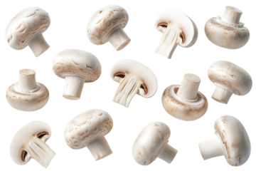 A collection of fresh white button mushrooms, some whole and some sliced, arranged on a clean white background, showcasing their edible fungi nature.