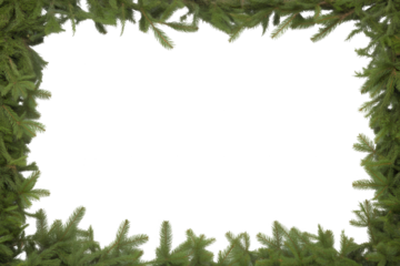 Christmas tree branches frame border with empty white space in center for text or photo copy space isolated on transparent background