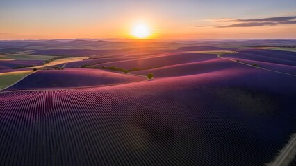 Vast lavender fields bathed in the warm glow of a sunset, with rolling hills under a pastel sky.