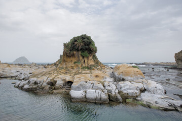 Heping Island Park, Nov 28, 2025: A view of the sheer, eroded sandstone cliff face covered in lush vegetation, contrasting with the rugged rock platform along the coast, Keelung, Taiwan.