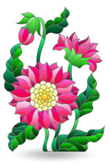 Set of illustrations in a stained glass style with bright flowers, flowers isolated on a white background