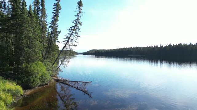 Calm lake with trees in Quebec's wilderness, feeling peaceful
