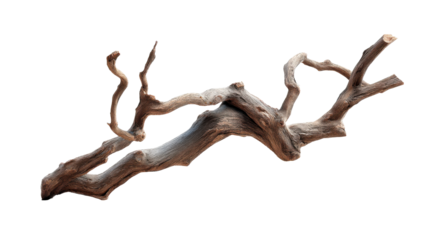Gnarly weathered wood branch with textured surface and twisted organic shape suitable for naturalistic aquarium decor or abstract nature concepts