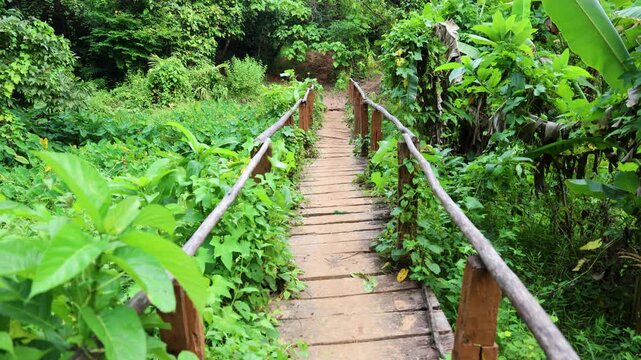 forest trekking route with rustic wooden bridge