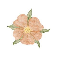 Peach flower watercolor illustration with soft textured petals and green leaves, hand-painted and isolated on white, ideal for wedding stationery, feminine branding, spring decor, invitations, cards