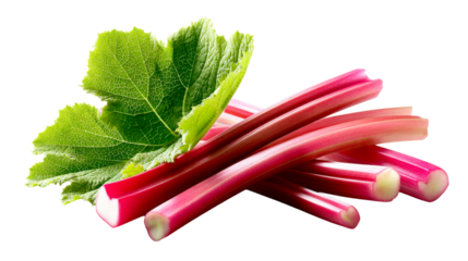 Fresh red rhubarb stalks and green leaves, a healthy ingredient for baking pies and desserts, perfect for culinary use and food blogs