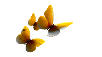Golden yellow butterflies in graceful flight, symbolizing transformation and freedom, perfect for invitations, spring themes, and natureinspired projects.