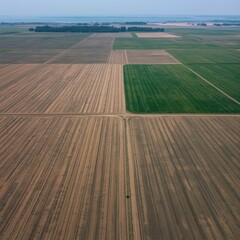 Aerial view of agricultural fields