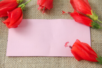 Blank paper or empty space for writing, flat-lay photograph features a vibrant arrangement of Turk's Cap flowers, scientifically known as Malvaviscus arboreus. Also commonly referred to as the Sleepin