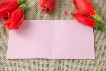 Blank paper or empty space for writing, flat-lay photograph features a vibrant arrangement of Turk's Cap flowers, scientifically known as Malvaviscus arboreus. Also commonly referred to as the Sleepin