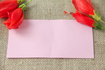 Blank paper or empty space for writing, flat-lay photograph features a vibrant arrangement of Turk's Cap flowers, scientifically known as Malvaviscus arboreus. Also commonly referred to as the Sleepin