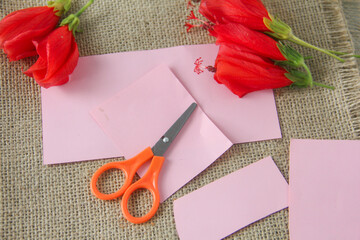 Blank paper or empty space for writing, flat-lay photograph features a vibrant arrangement of Turk's Cap flowers, scientifically known as Malvaviscus arboreus. Also commonly referred to as the Sleepin