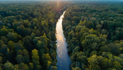 Aerial View of Serene River Winding Through Lush Green Forest at Sunset.